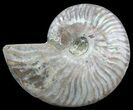 Silver Iridescent Ammonite - Madagascar #54867-1
